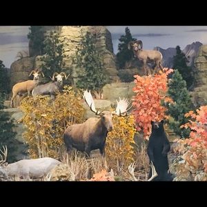 Meet your Posher, Pedro